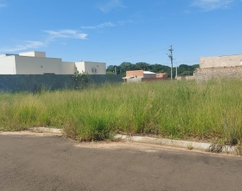 Moradores da Vila Jatobá reclamam do abandono do bairro pela prefeitura