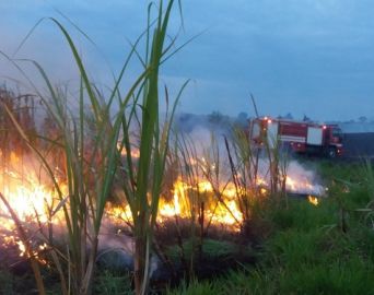 Fogo atinge plantação de cana e área de preservação em Cerqueira César